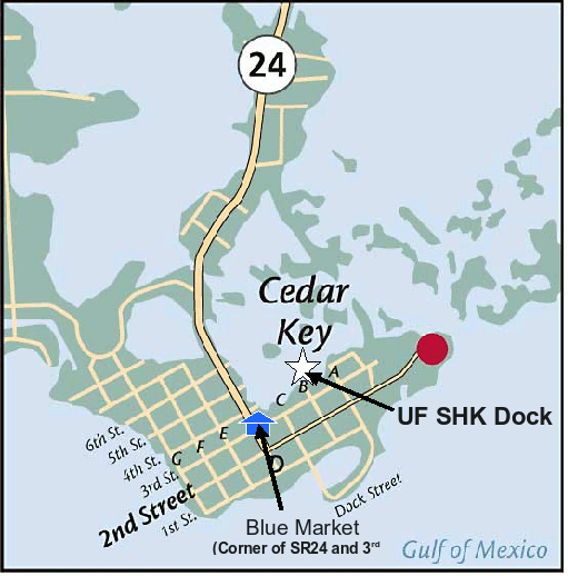cedarKeyMap